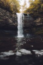 waterfalls surrounded with trees